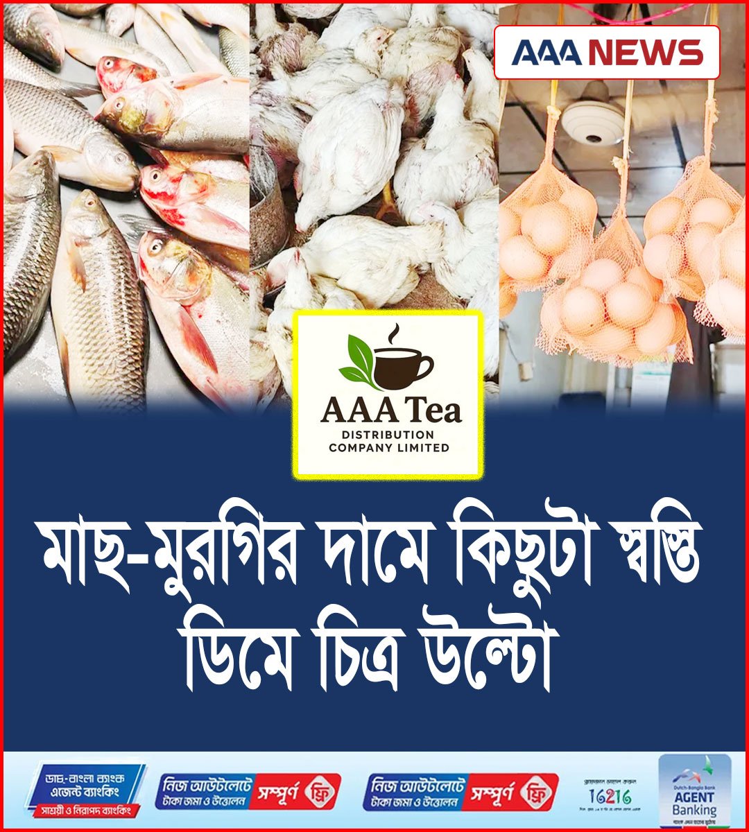 মাছ-মুরগির দামে কিছুটা স্বস্তি, ডিমে উল্টো চিত্র