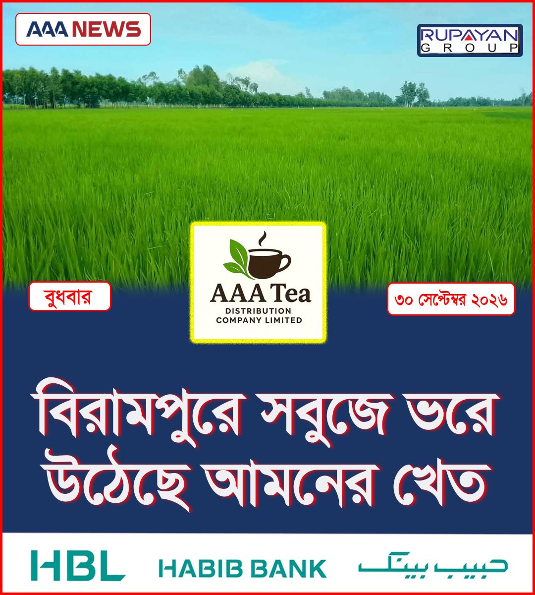 বিরামপুরে সবুজে ভরে উঠেছে আমনের খেত