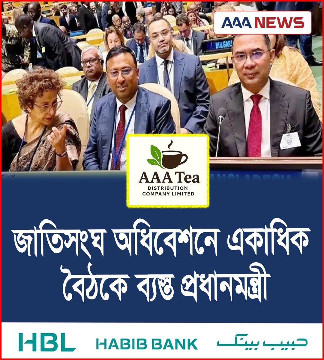 জাতিসংঘ অধিবেশনে একাধিক বৈঠকে ব্যস্ত প্রধানমন্ত্রী