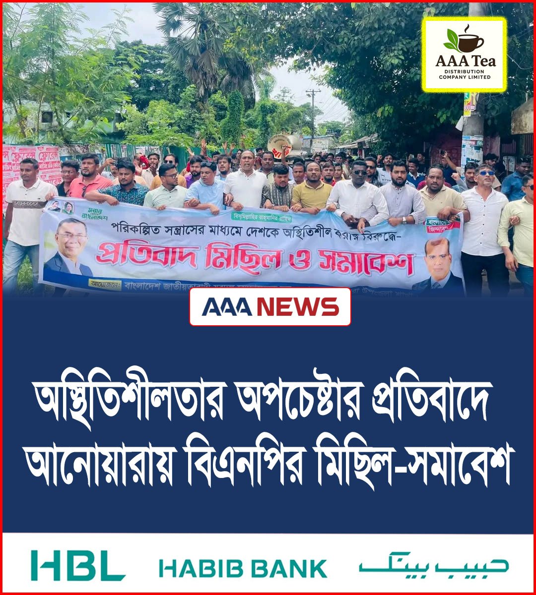 অস্থিতিশীলতার অপচেষ্টার প্রতিবাদে আনোয়ারায় বিএনপির মিছিল-সমাবেশ